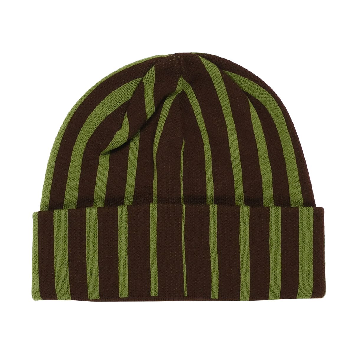 QUASI SKATEBOARDS BLENDER BEANIE IGUANA