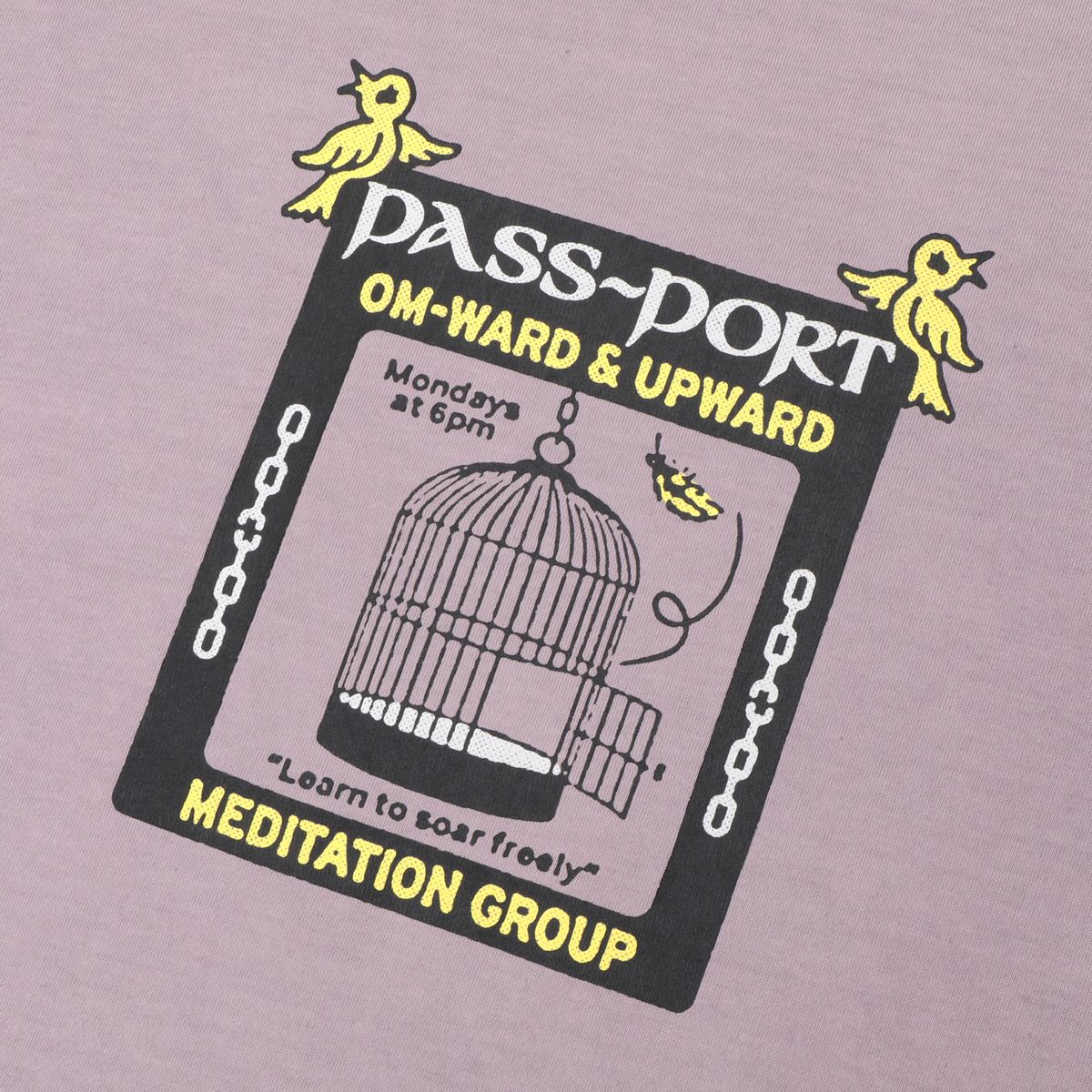 PASS~PORT SKATEBOARDS TRANSCENDENTAL ORGANIC COTTON TEE