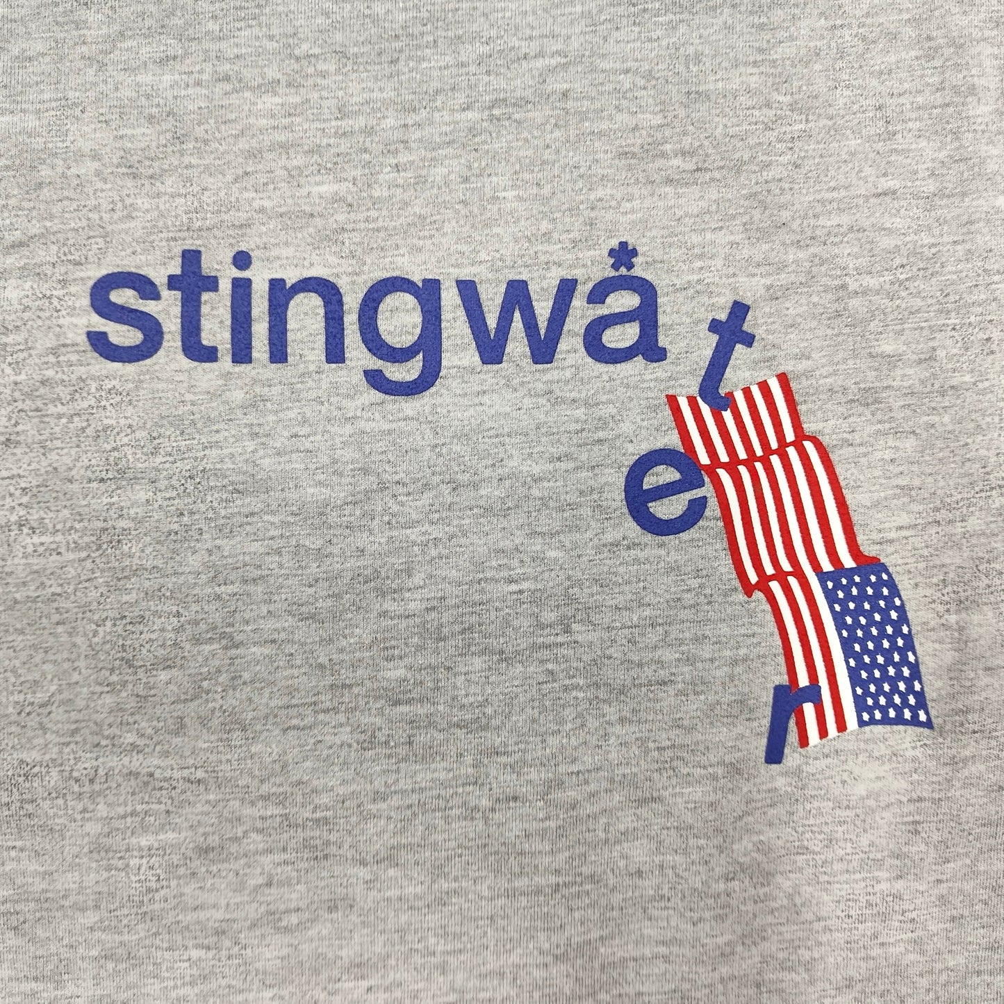 STINGWATER AMERICA IN DISTRESS TEE HEATHER GREY