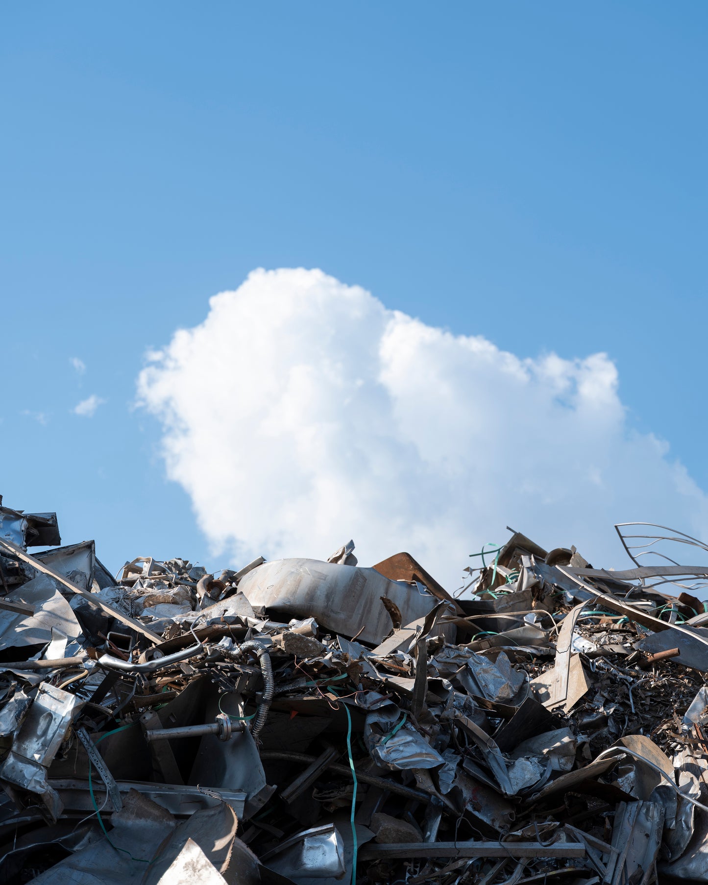 TEILO WESSELLS 11X14 MATTED PRINT - FLOAT