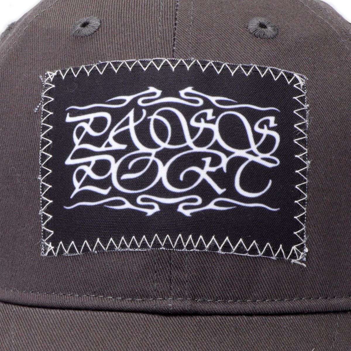 PASS~PORT SKATEBOARDS CALLIGRAPHY LEAGUES CAP