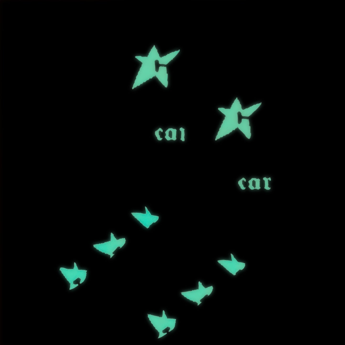 CARPET COMPANY C-STAR GLOW IN THE DARK SOCKS BLACK