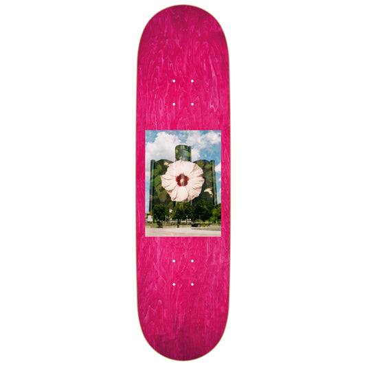 EVAN HUTCHINGS OLYMPIA DECK GM BUILDING