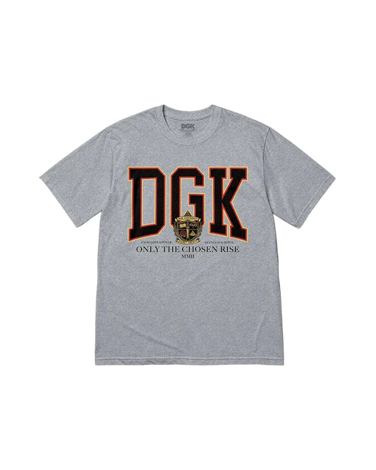 DGK SECRET SOCIETY TEE HEATHER GREY
