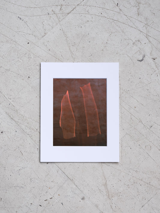 TEILO WESSELLS 11X14 MATTED PRINT - RAYS