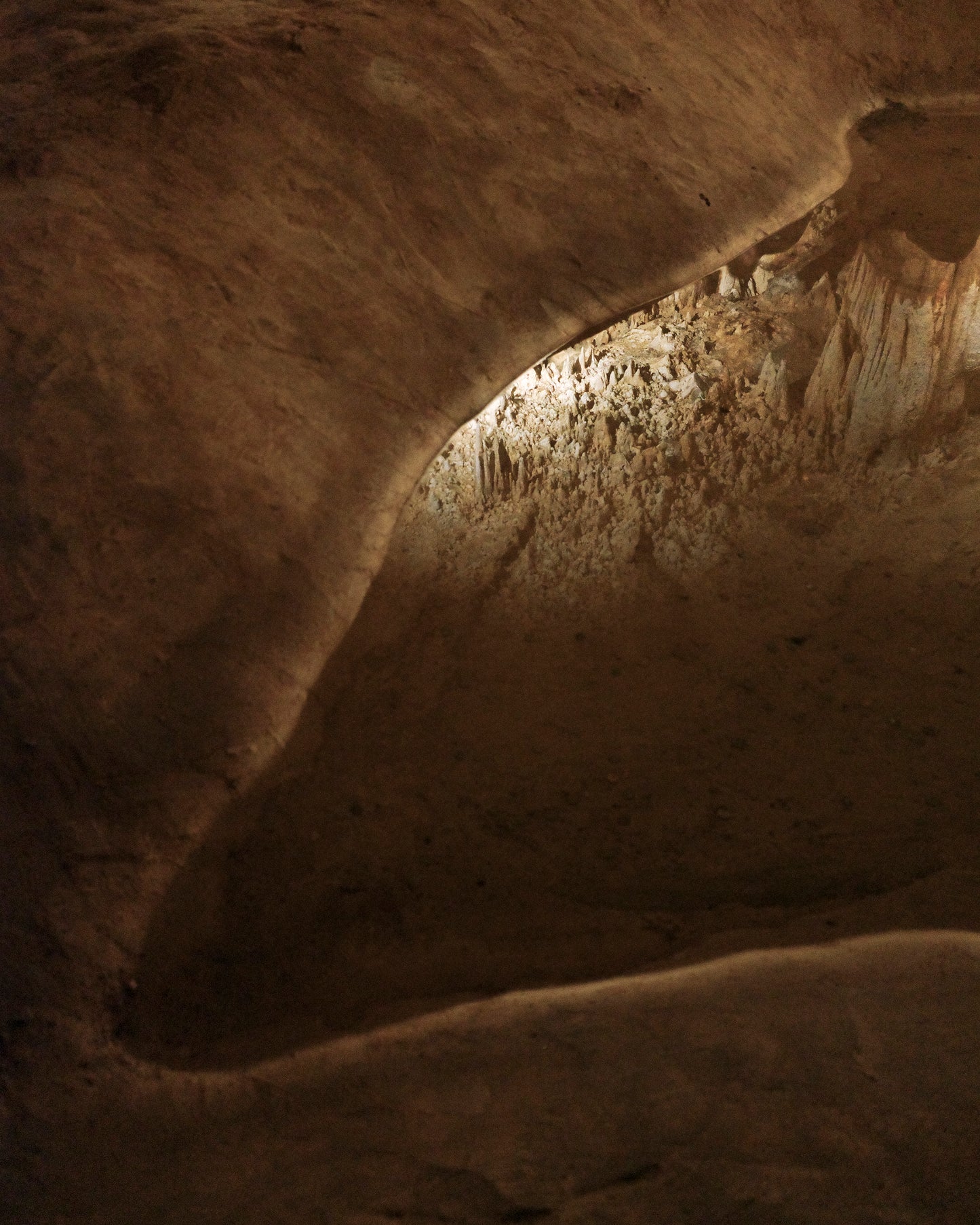 TEILO WESSELLS 35X44IN PRINT - EGG