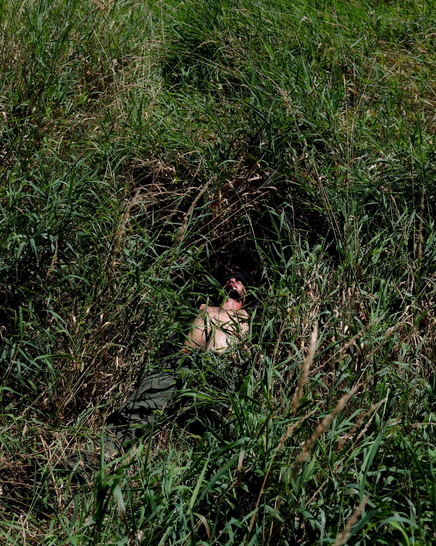 TEILO WESSELLS 35X44IN PRINT - RAMON