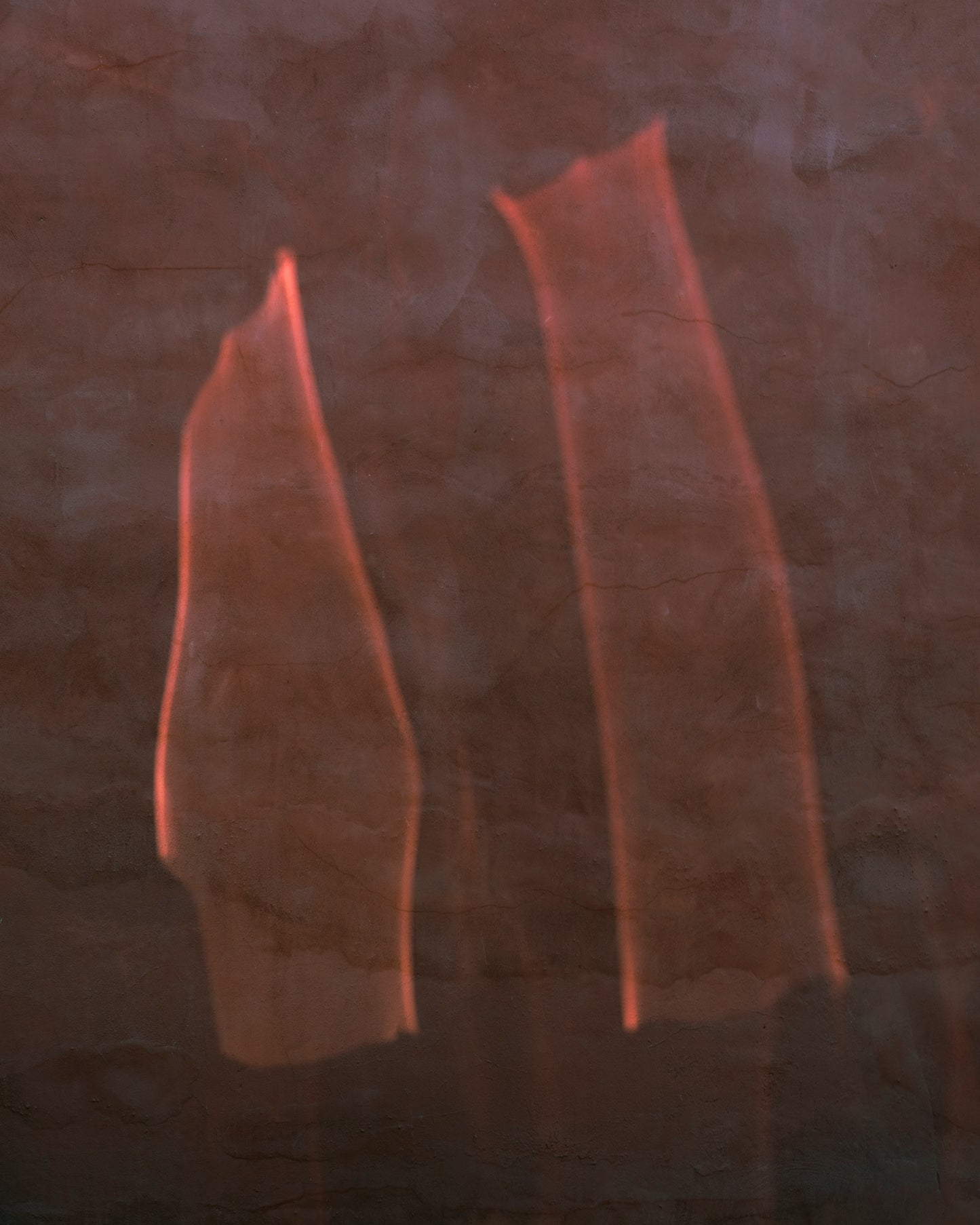 TEILO WESSELLS 44X55IN PRINT - RAYS