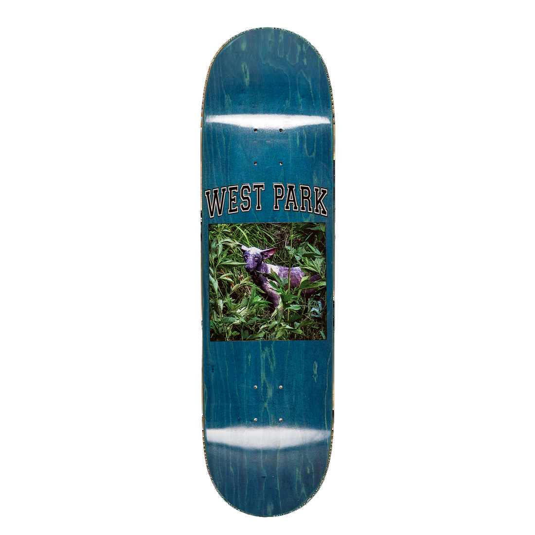 LIMOSINE SKATEBOARDS ANGEL LORETH